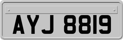 AYJ8819