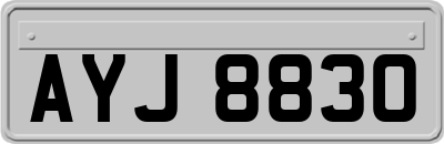 AYJ8830