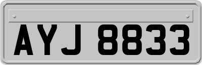 AYJ8833