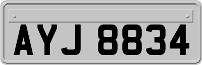 AYJ8834