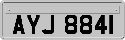 AYJ8841