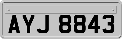 AYJ8843