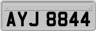 AYJ8844