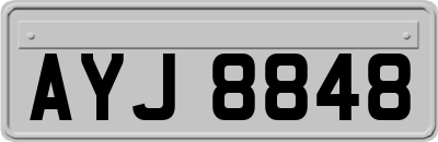 AYJ8848