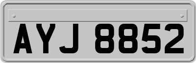 AYJ8852