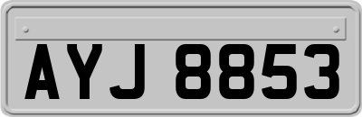 AYJ8853