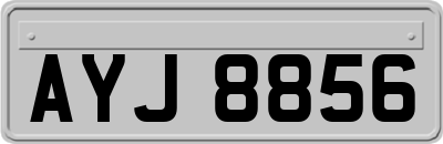 AYJ8856