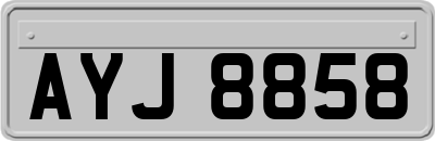 AYJ8858