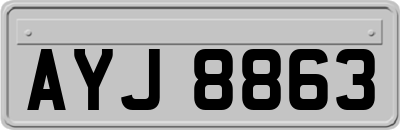 AYJ8863