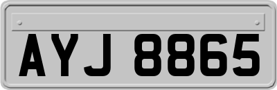 AYJ8865