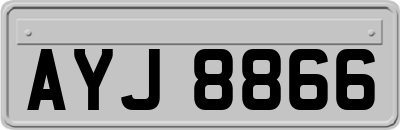 AYJ8866