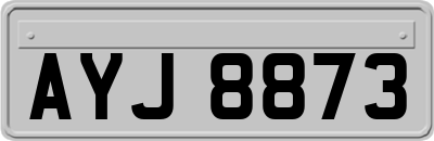 AYJ8873