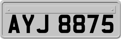 AYJ8875