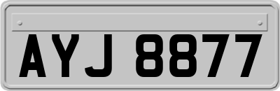AYJ8877