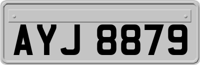 AYJ8879
