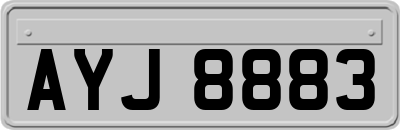 AYJ8883