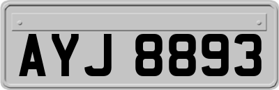 AYJ8893