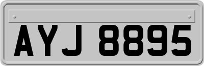 AYJ8895