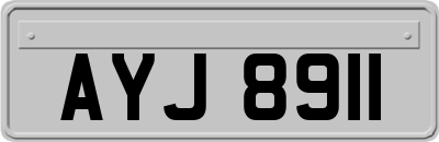 AYJ8911