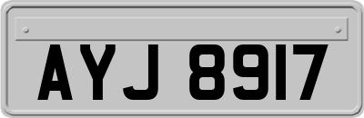 AYJ8917