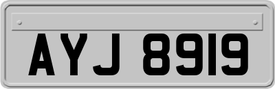 AYJ8919