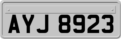 AYJ8923