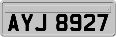 AYJ8927