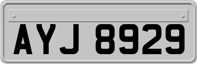 AYJ8929