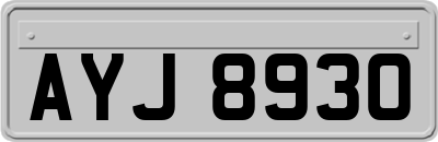 AYJ8930