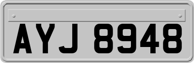 AYJ8948