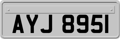 AYJ8951