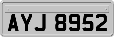 AYJ8952