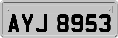 AYJ8953