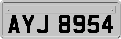 AYJ8954