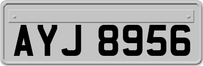 AYJ8956