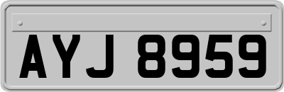 AYJ8959