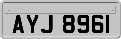 AYJ8961