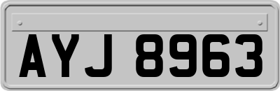 AYJ8963