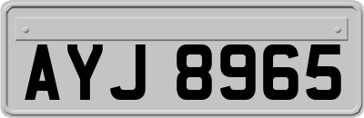 AYJ8965