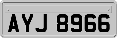 AYJ8966