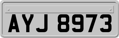 AYJ8973