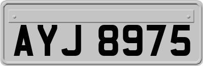 AYJ8975