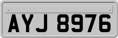 AYJ8976