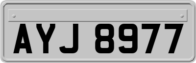 AYJ8977