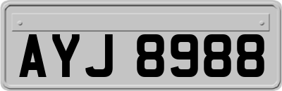 AYJ8988