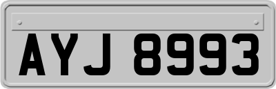 AYJ8993