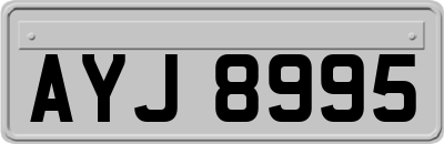 AYJ8995