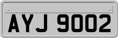 AYJ9002
