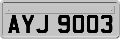 AYJ9003