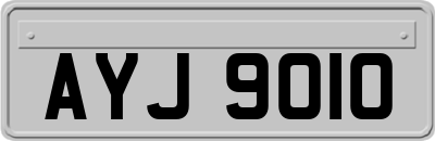 AYJ9010